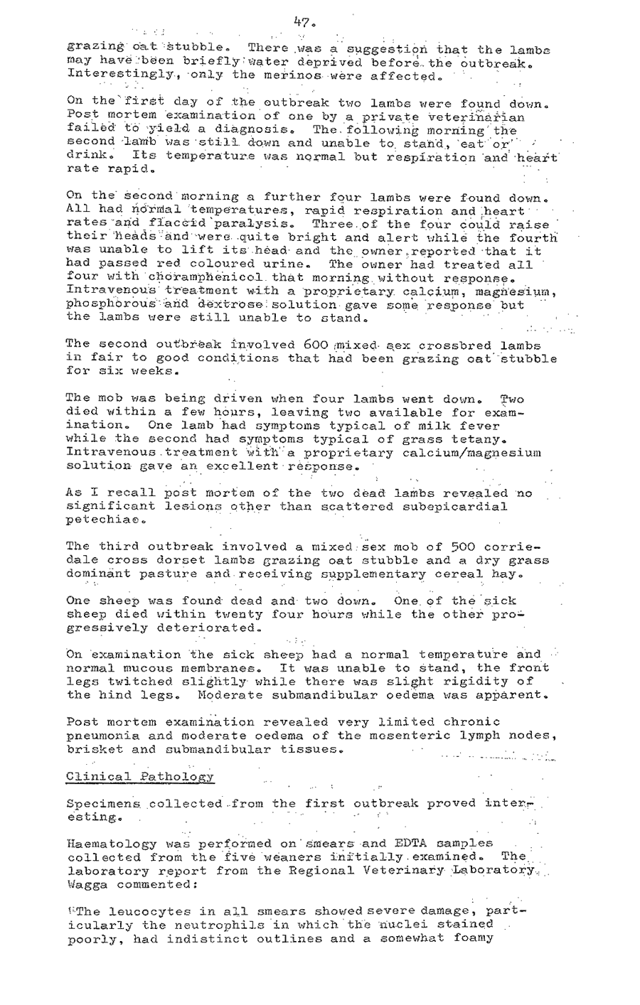 1980 page 47